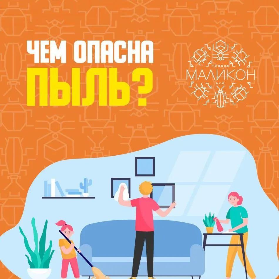 Чем опасна пыль?