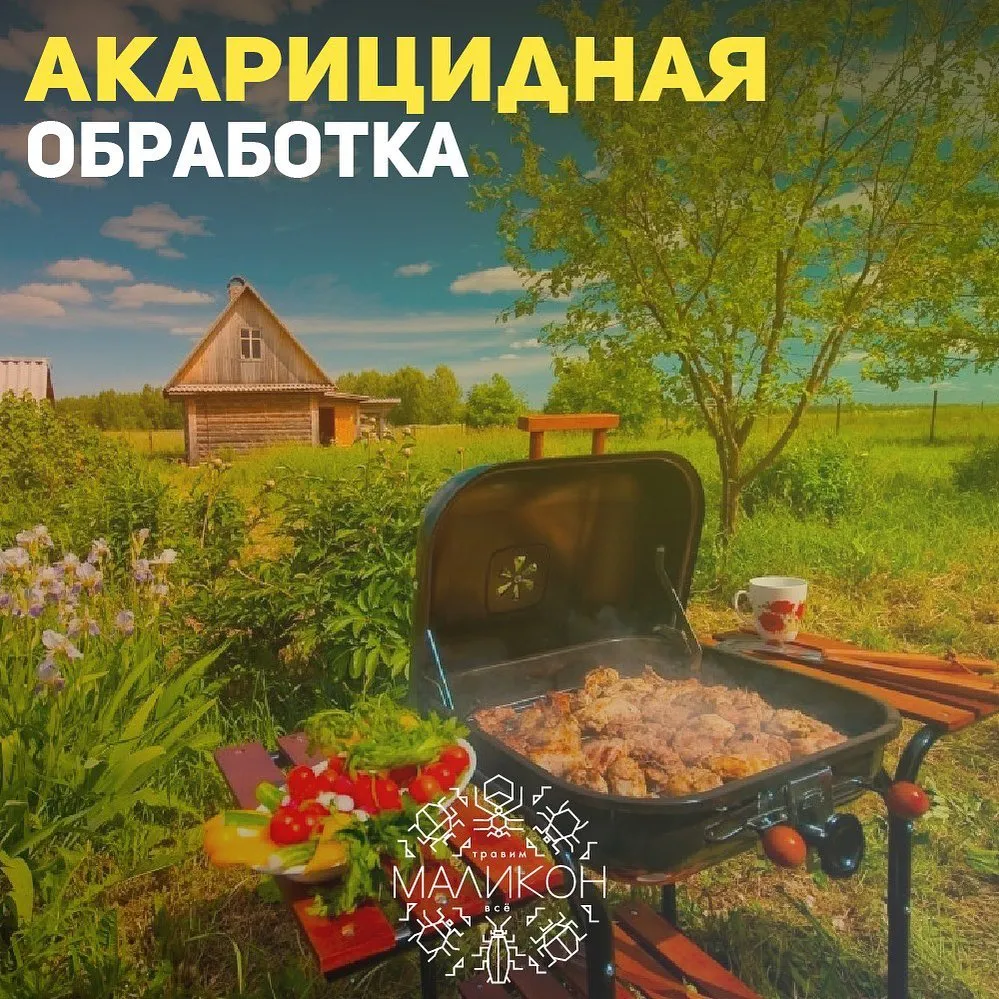 Услуги по уничтожению клещей